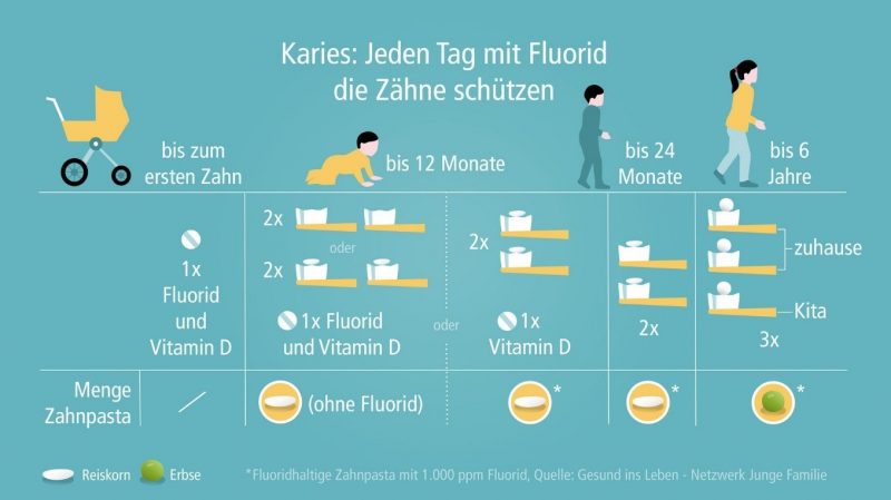 Zähneputzen von Anfang an – Eltern und Kitas Hand in Hand